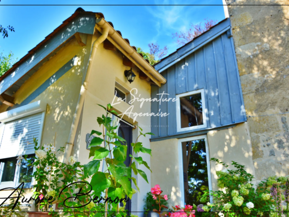 Maison en Pierre avec Jardin à Nérac à 10 minutes