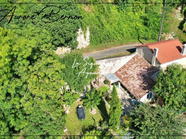Maison en Pierre avec Jardin à Nérac à 10 minutes 