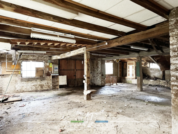 Vente de bâtiment artisanal avec annexe à Beire le Châtel 