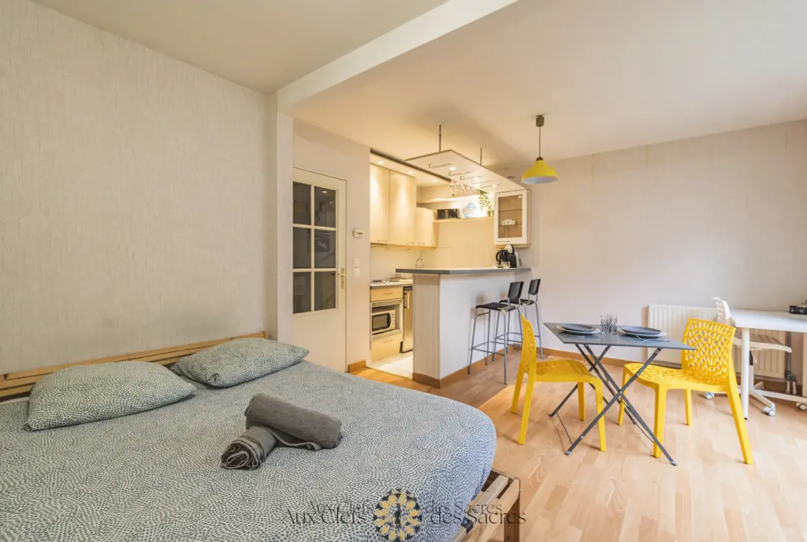 À vendre : Grand studio avec terrasse à Reims secteur Moissons 