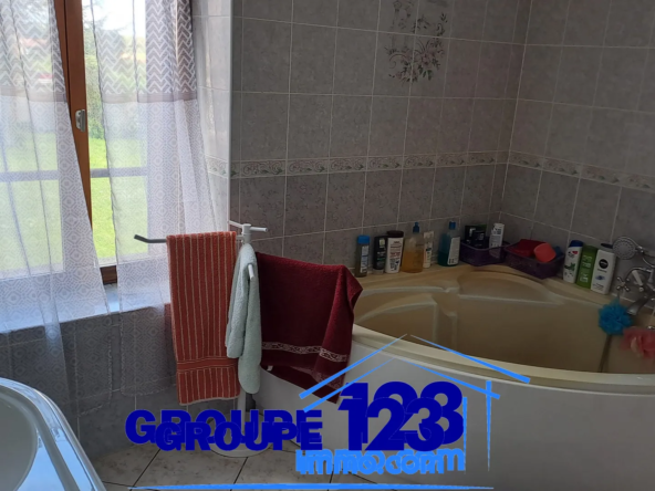 Maison familiale spacieuse à vendre à Villiers-sur-Tholon 