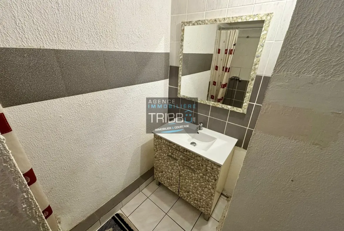 À vendre : Appartement F3 au cœur de Perpignan 