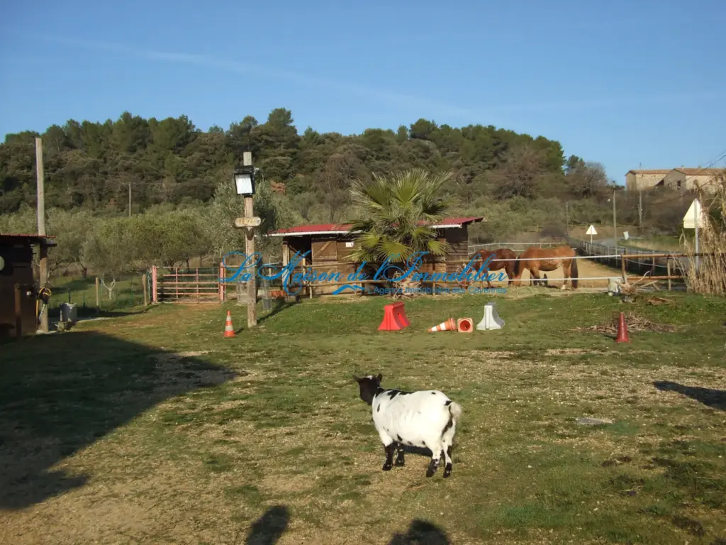 Maison à vendre à Saint-Privat-des-Vieux avec terrain spacieux pour animaux