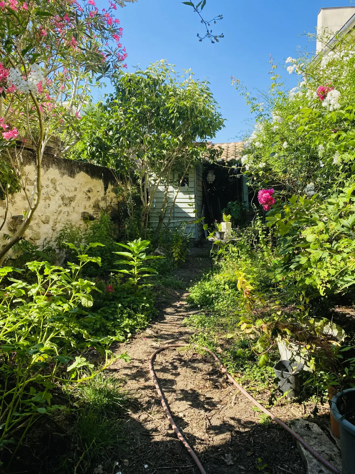 Maison de ville avec jardin à Langon - Idéale pour habitation ou investissement 