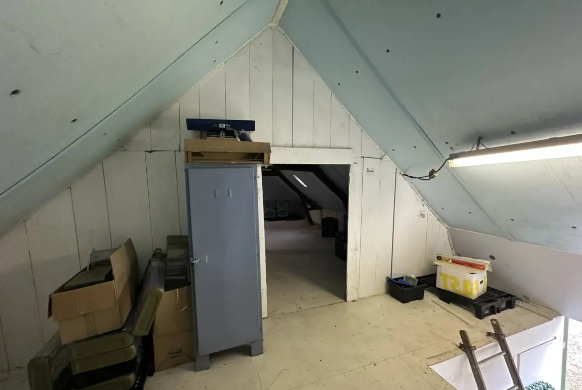 Ensemble immobilier à vendre à Pluméliau 
