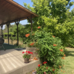 Villa T7 de 208 m² à Jujurieux sur terrain de 1244 m²