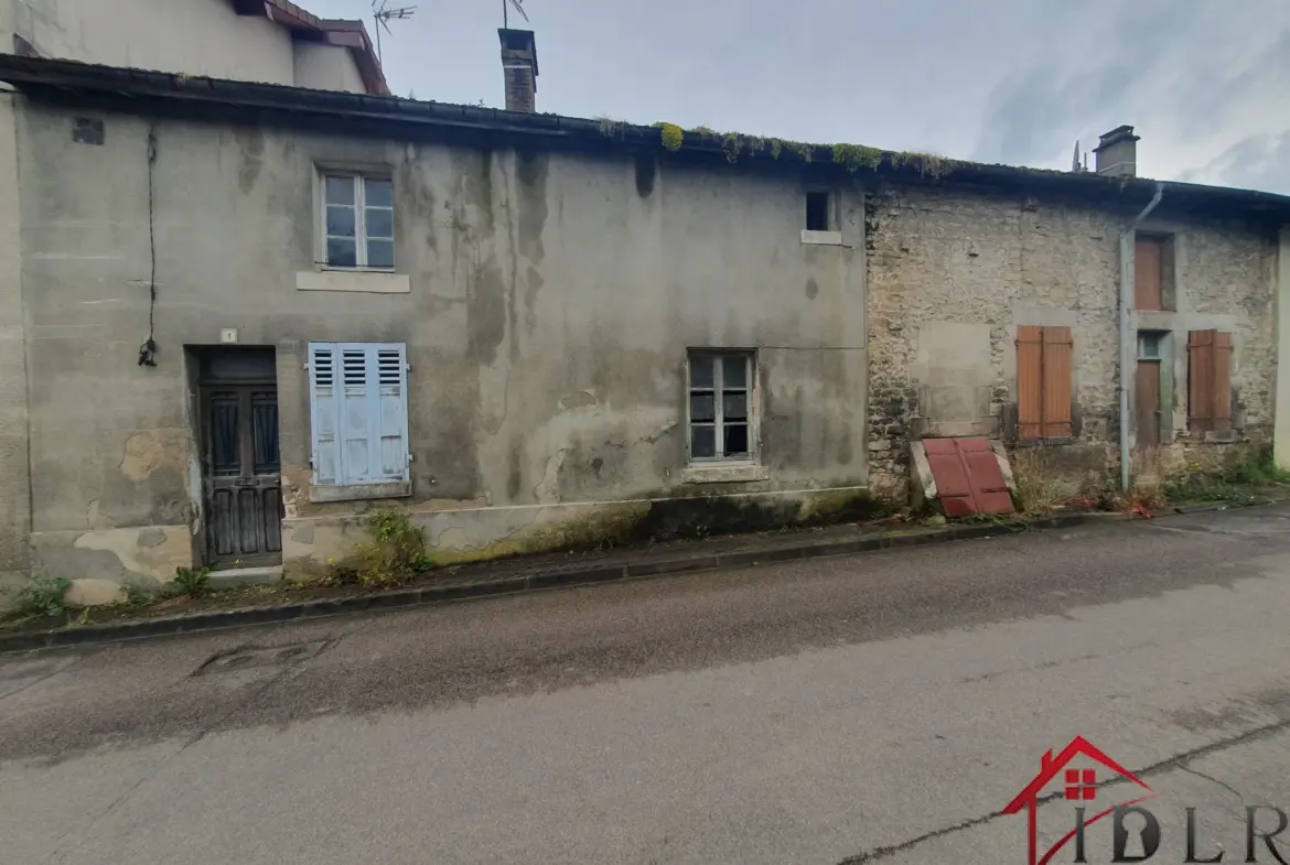 Investissement : Deux maisons à restaurer près de Saint-Dizier 