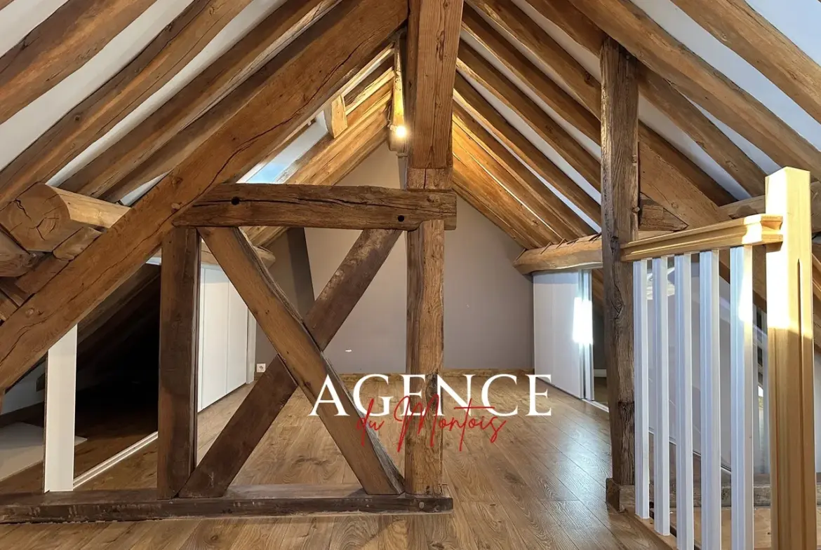 Maison de village rénovée à Donnemarie Dontilly avec 5 chambres 