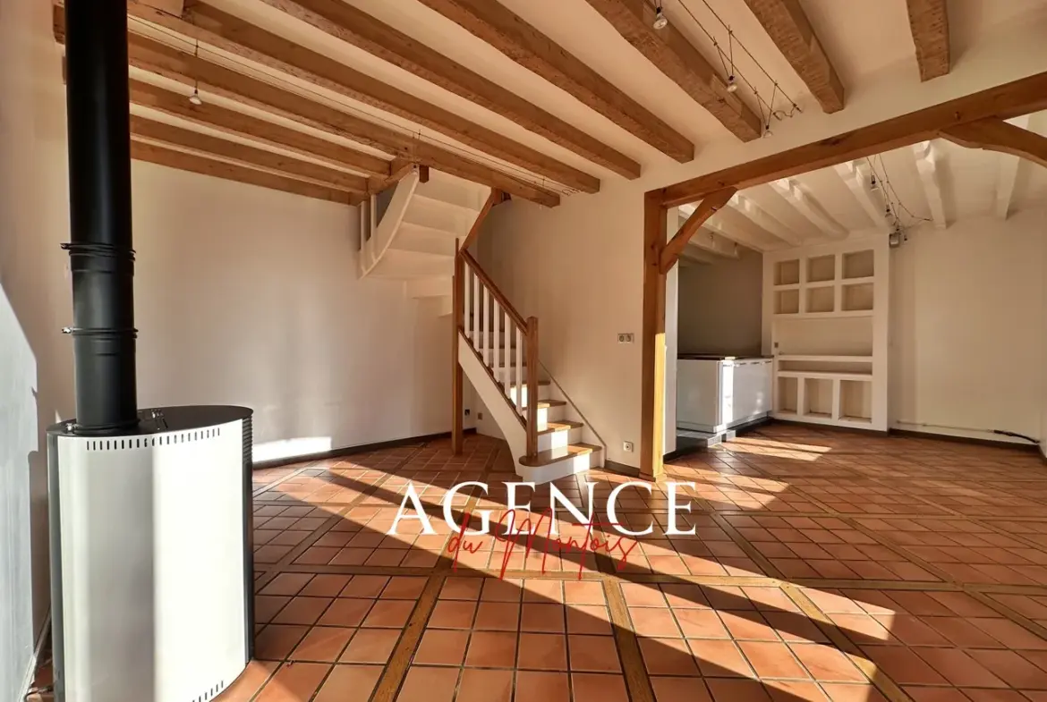 Maison de village rénovée à Donnemarie Dontilly avec 5 chambres 