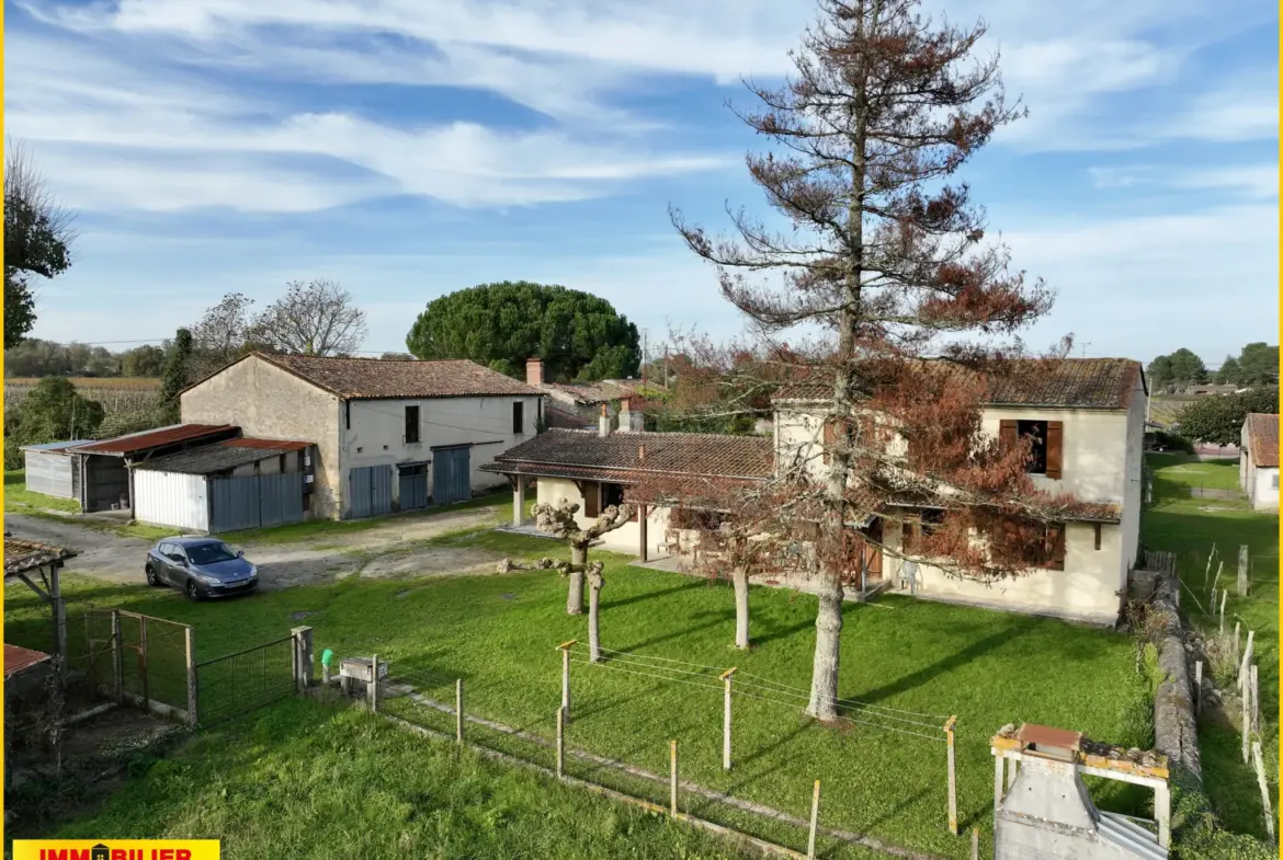 Maison en Pierre avec Vue sur les Vignes à Illats 