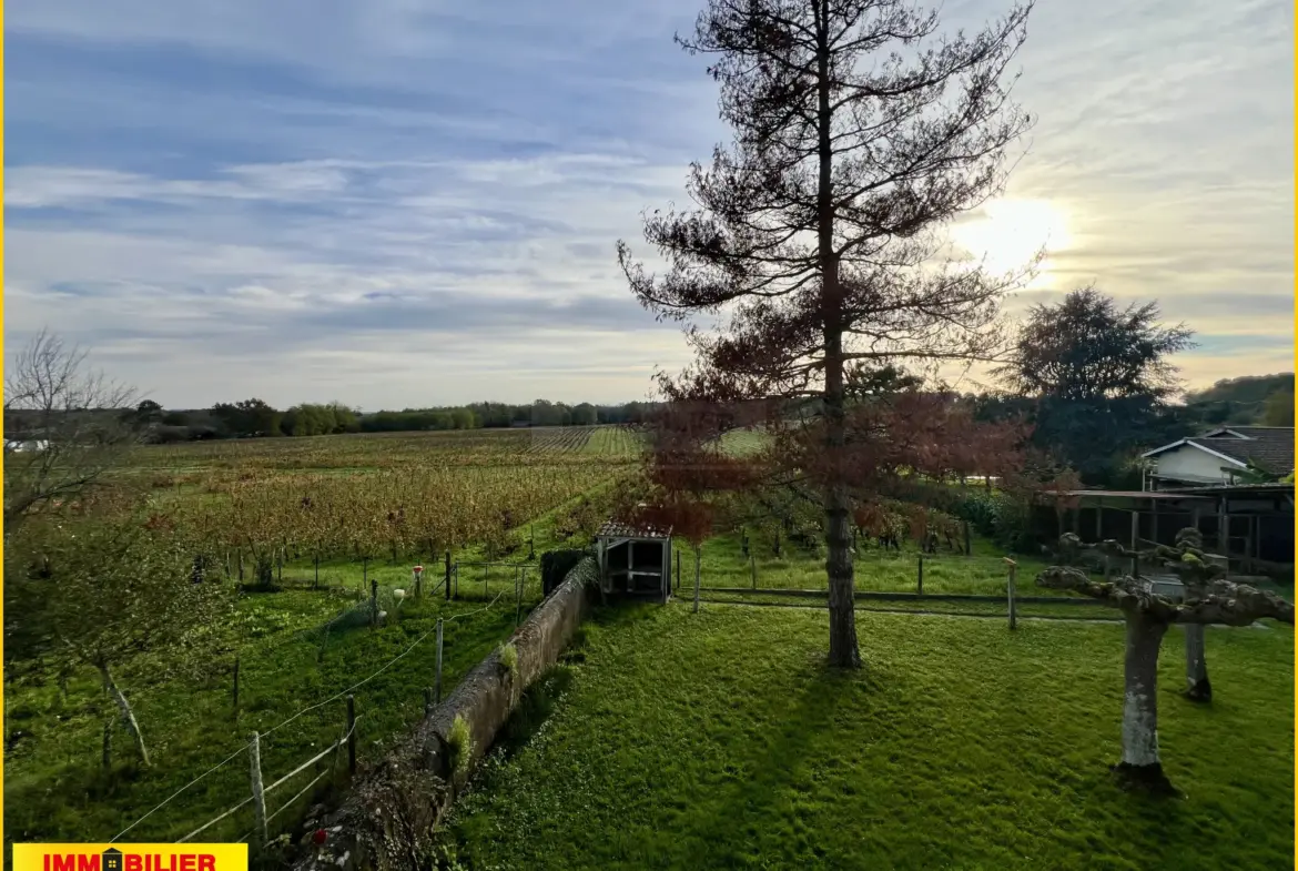 Maison en Pierre avec Vue sur les Vignes à Illats 