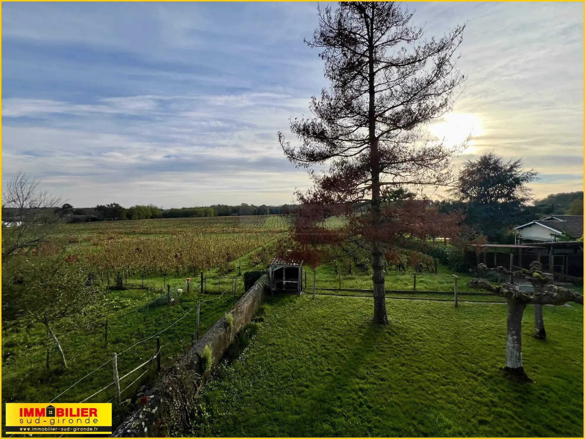 Maison en Pierre avec Vue sur les Vignes à Illats 