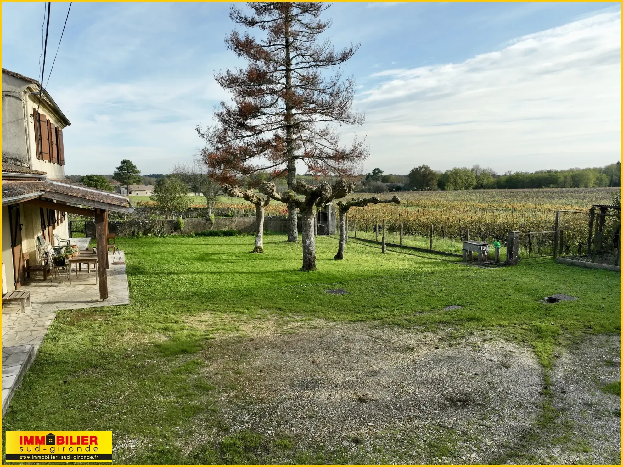 Maison en Pierre avec Vue sur les Vignes à Illats 