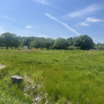 Terrain viabilisé de 555 m² à St Sulpice et Cameyrac