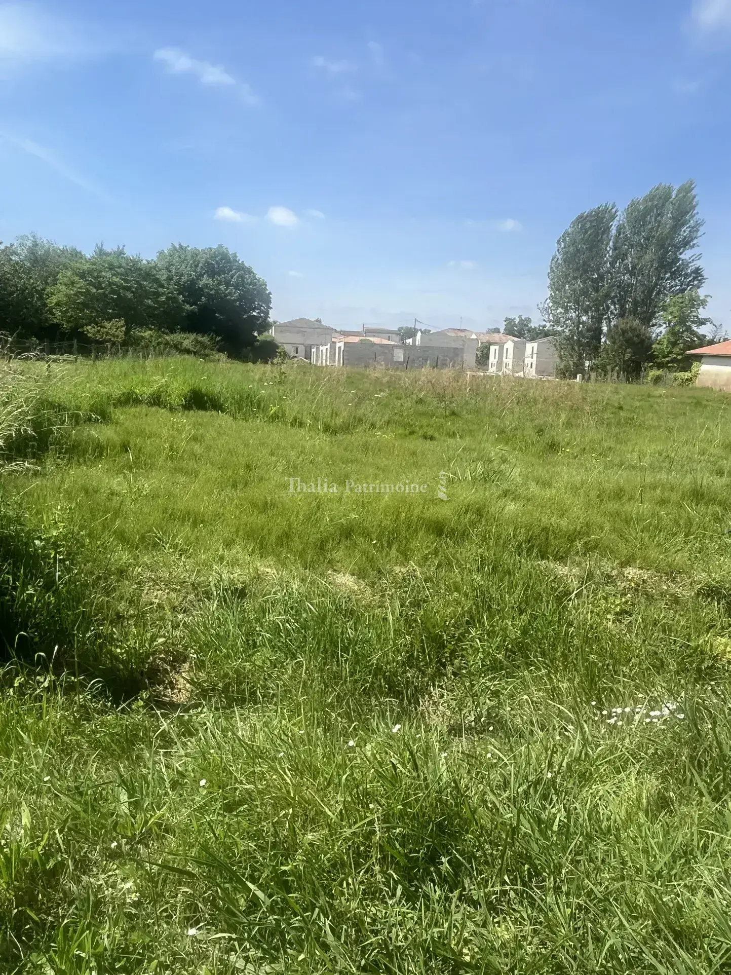 Terrain viabilisé de 555 m² à St Sulpice et Cameyrac 