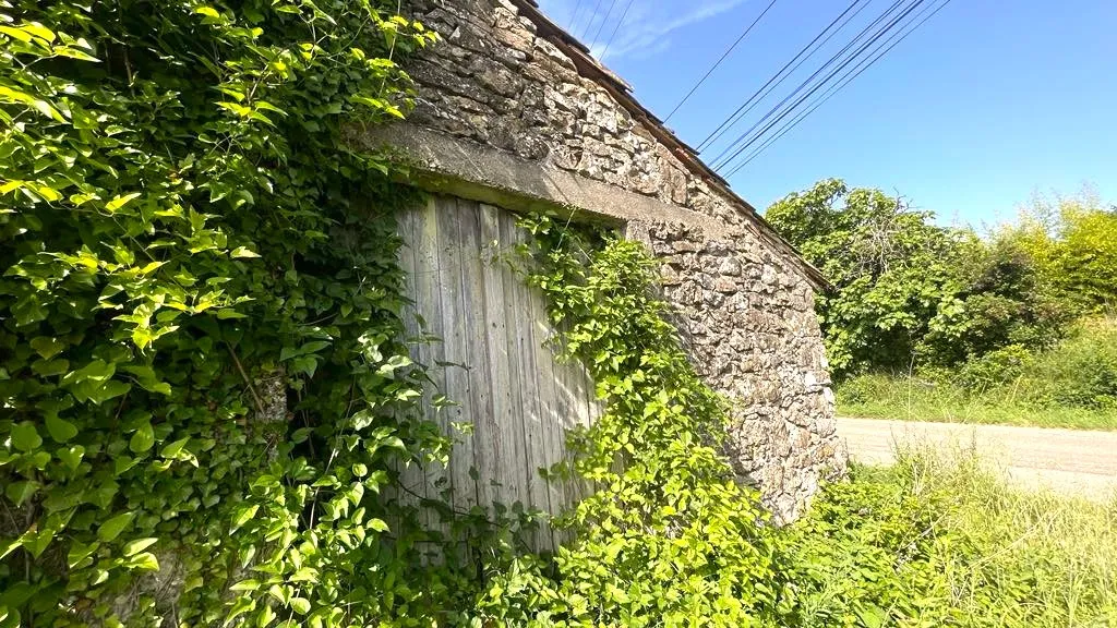 Mas de campagne à rénover à St Marcel de Careiret 