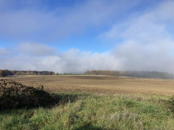 Terrain à bâtir de 750 m² à Birac, proche de Bazas 