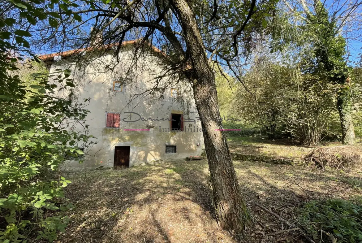 Maison de campagne à rénover à Cours-la-Ville 