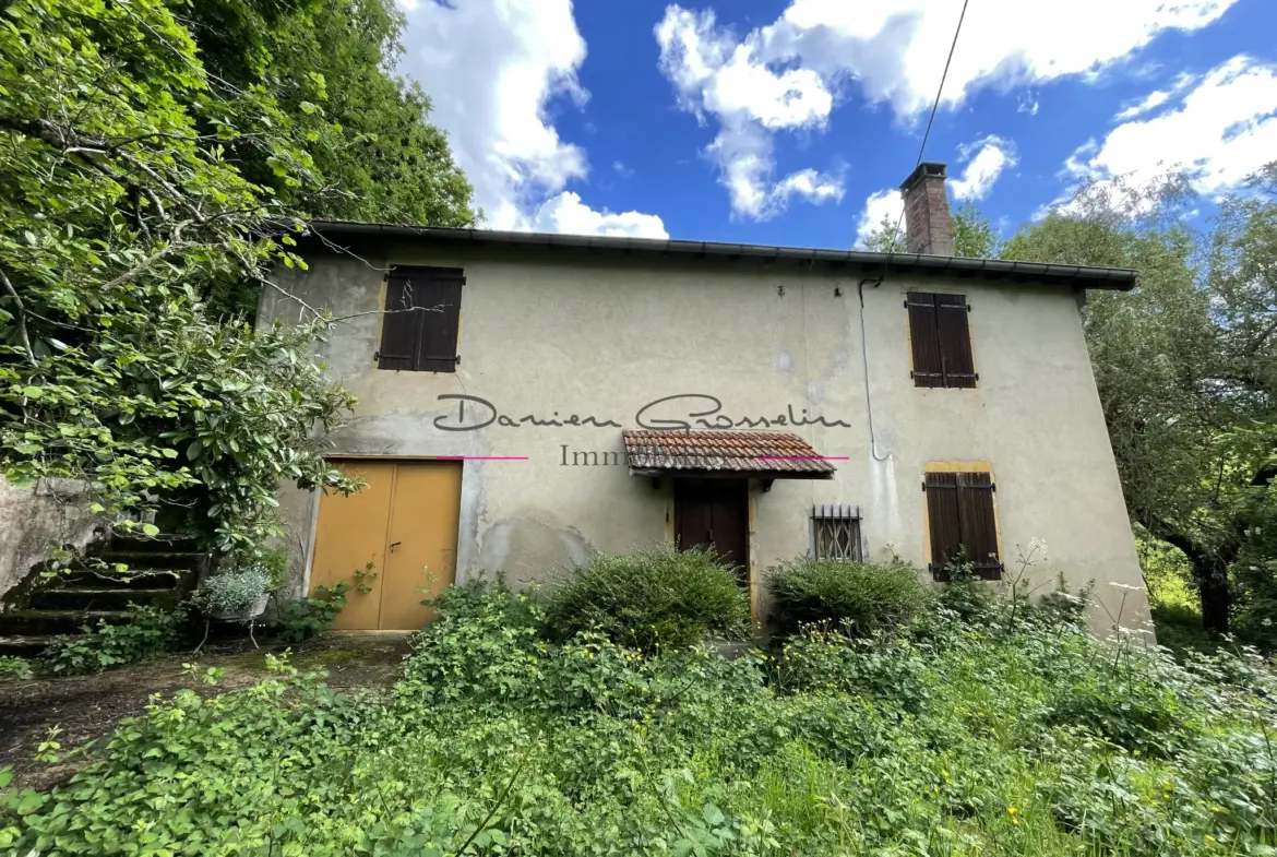 Maison de campagne à rénover à Cours-la-Ville 