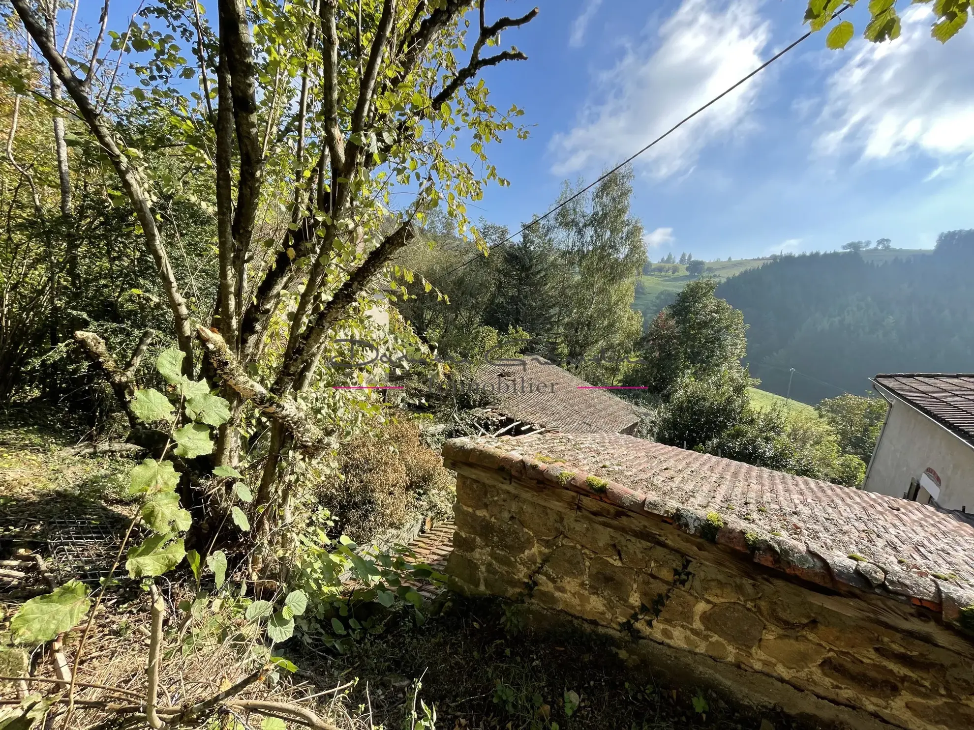 Maison de campagne à rénover à Cours-la-Ville 