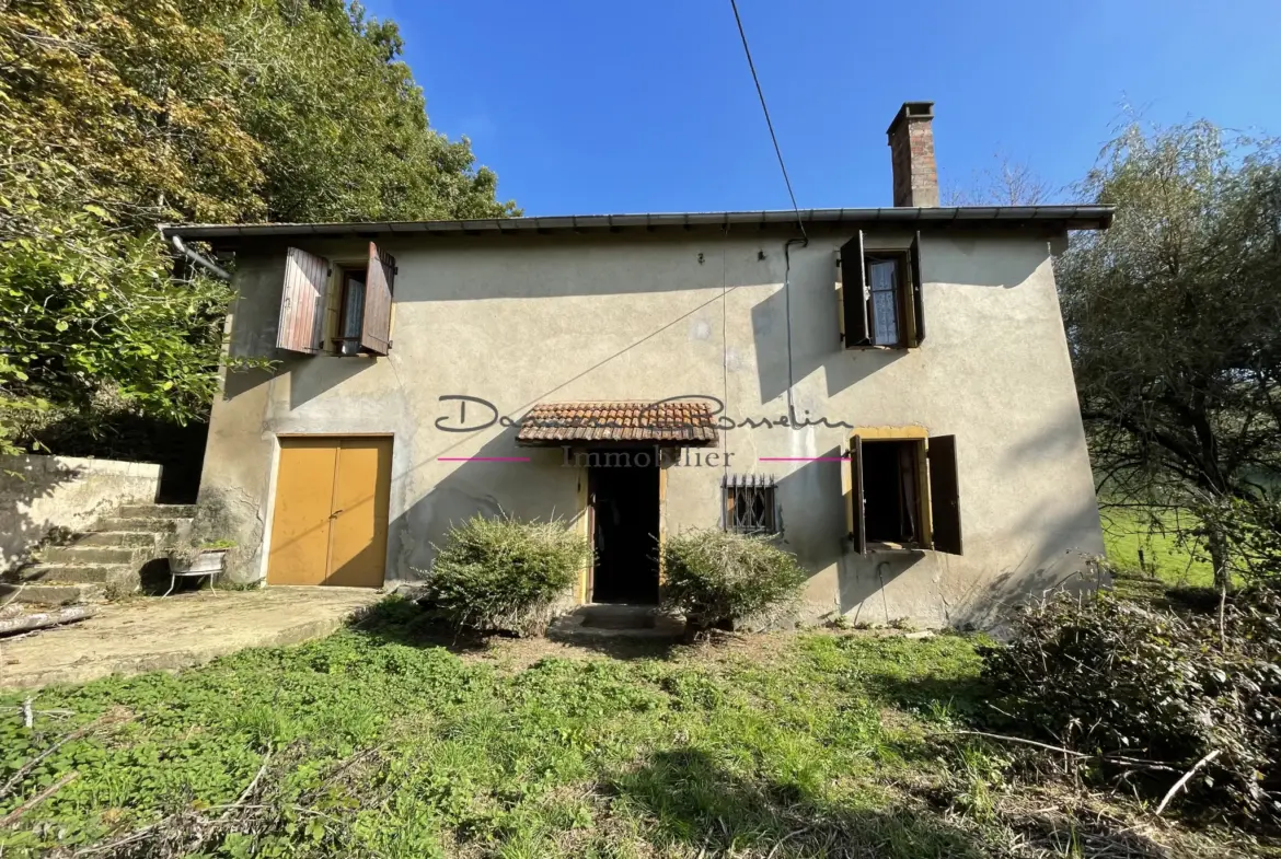 Maison de campagne à rénover à Cours-la-Ville 