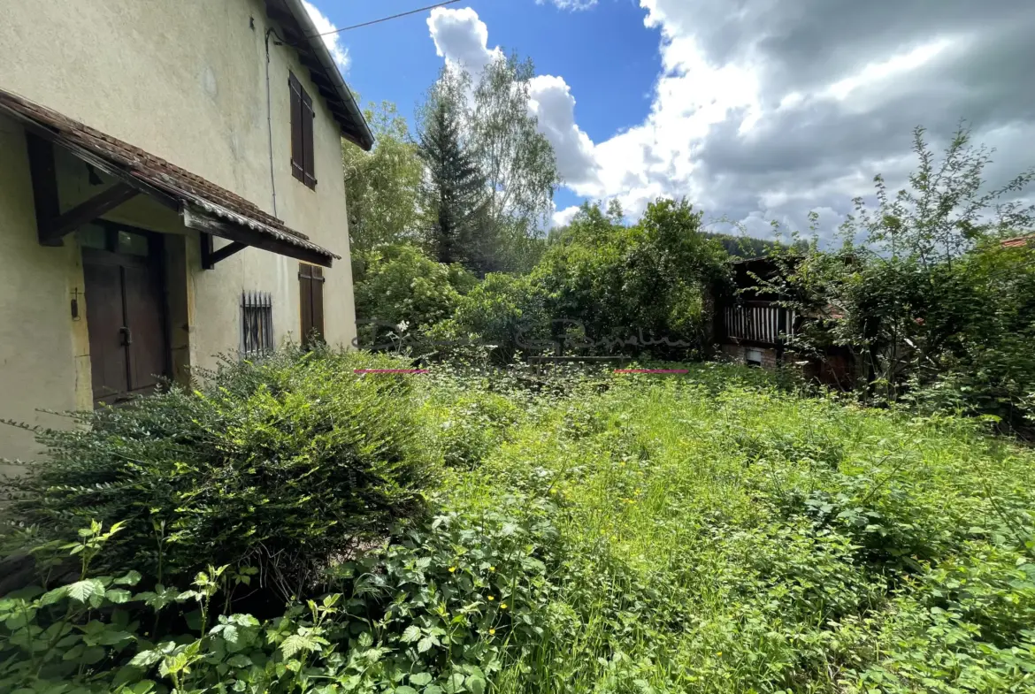 Maison de campagne à rénover à Cours-la-Ville 
