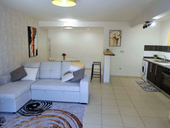 Spacieux appartement T2 de 61 m² à vendre à St Denis avec terrasse 