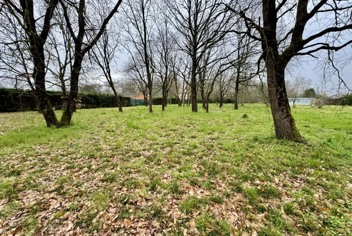 Maison avec jardin constructible à La Ville Dieu Du Temple 