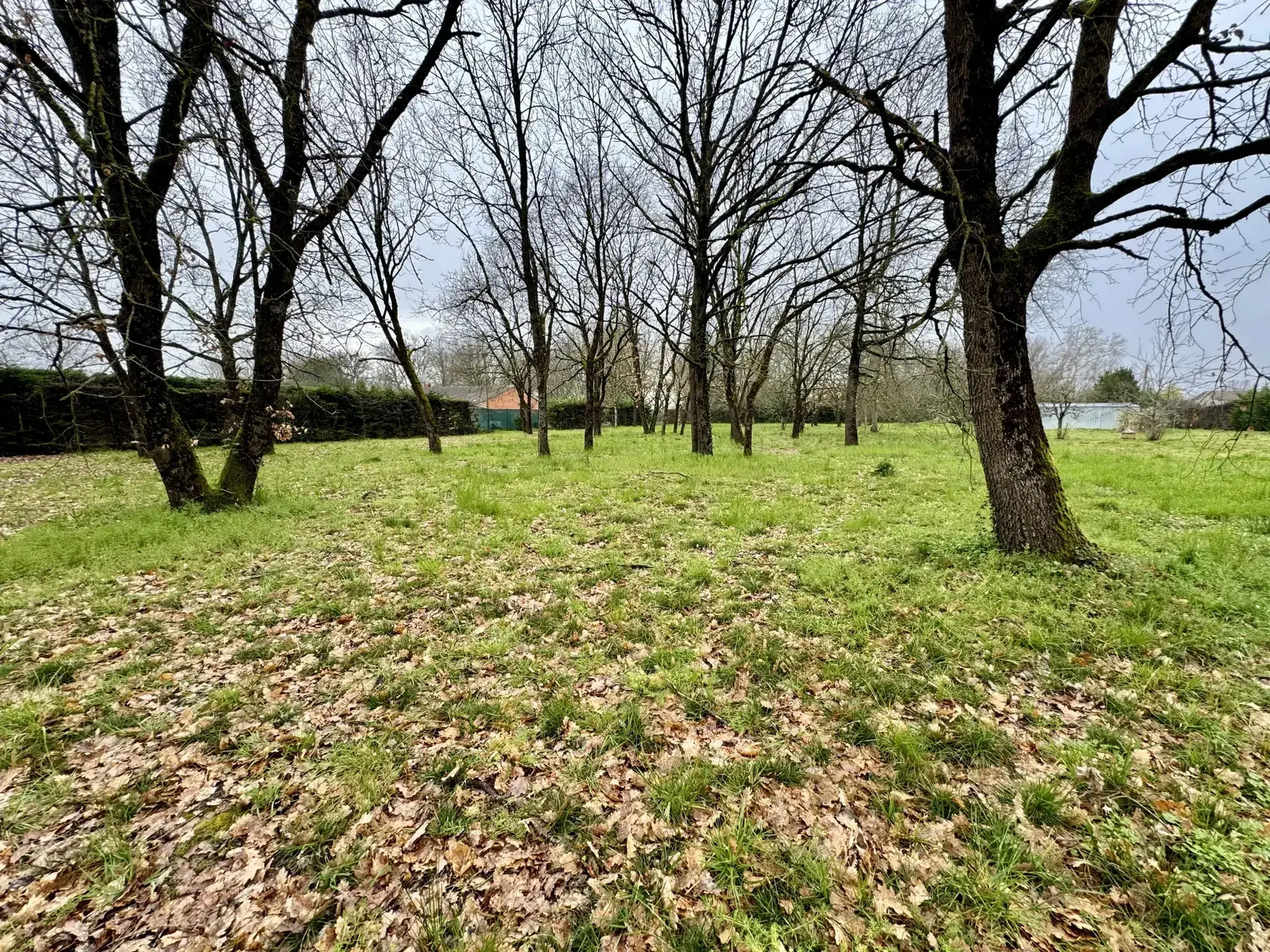 Maison avec jardin constructible à La Ville Dieu Du Temple 