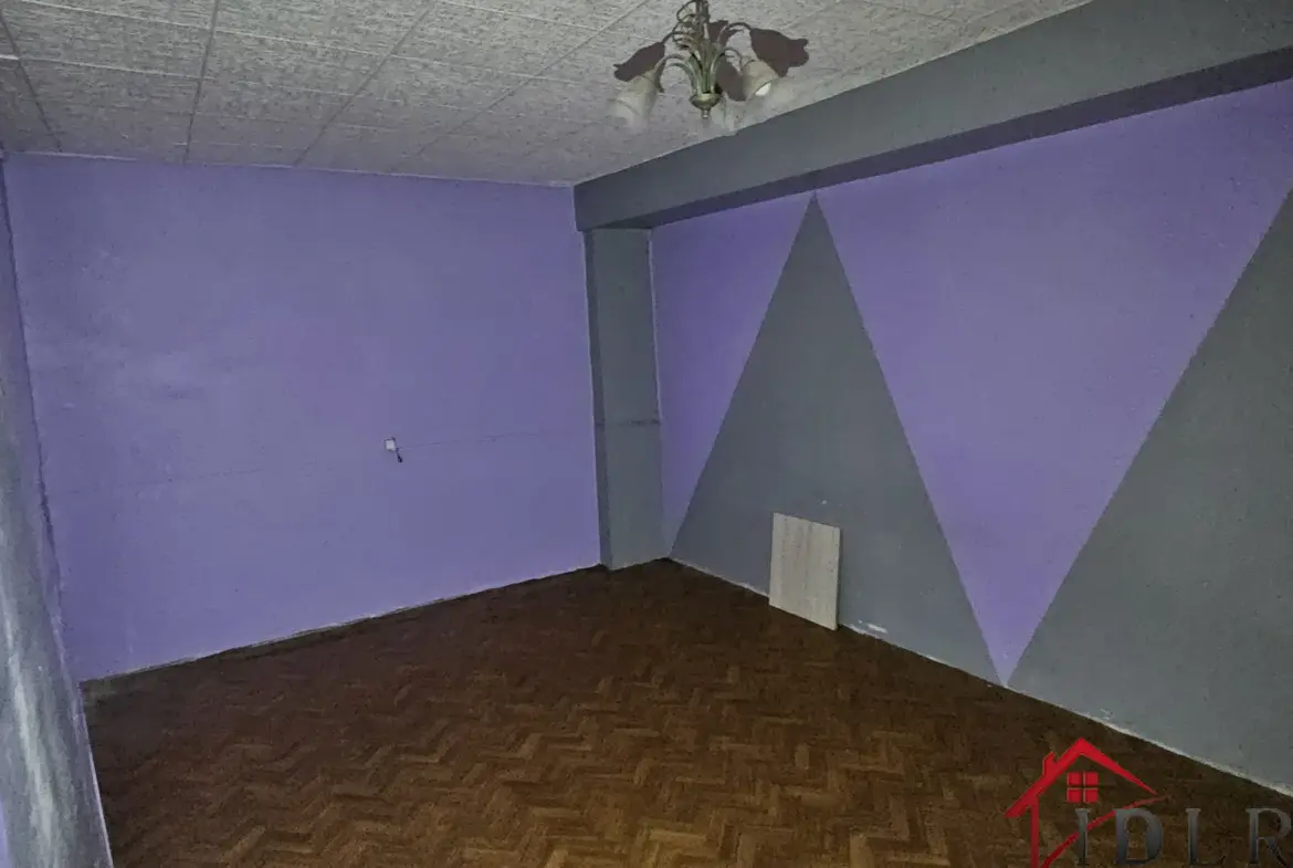 Maison de 180 m² à Chevillon avec immense potentiel 