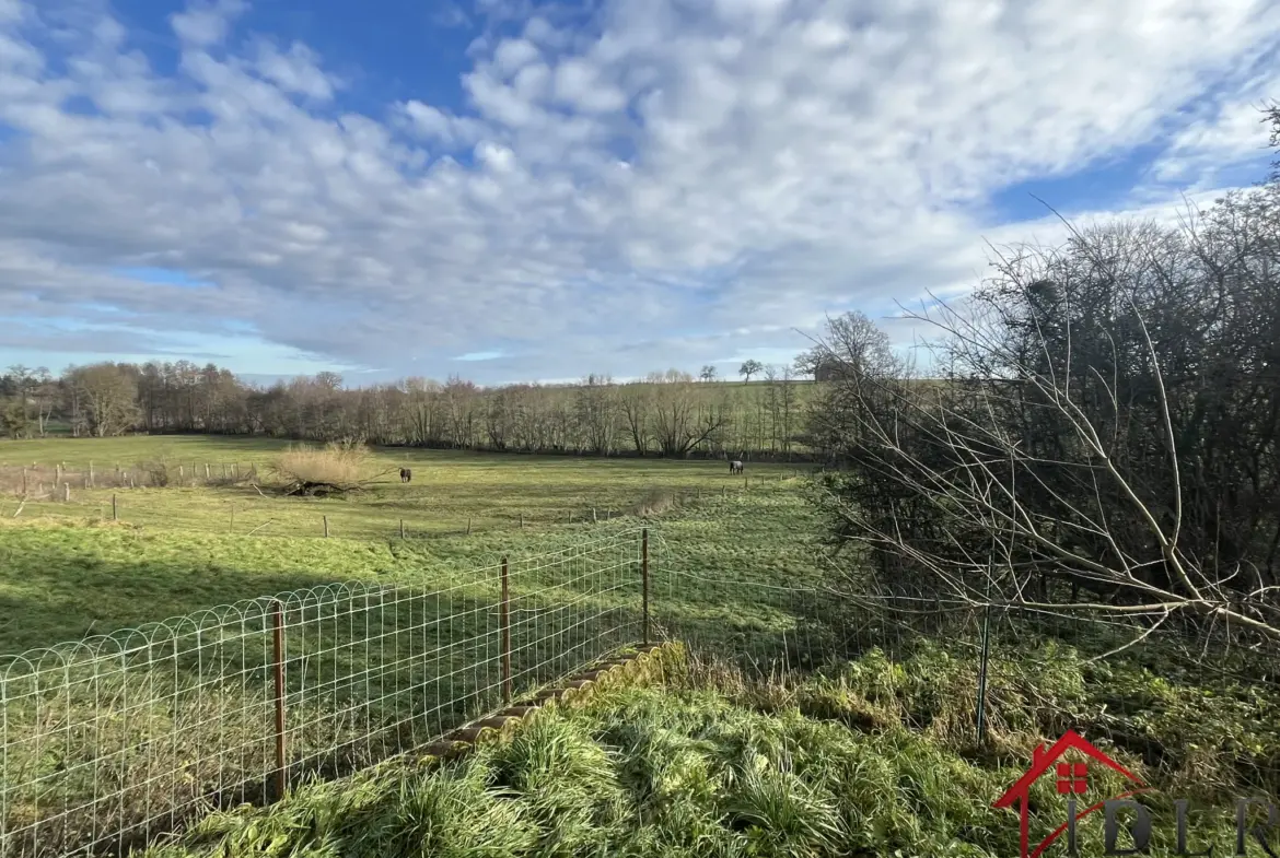 À vendre : Deux gîtes rénovés à Colombey Les Choiseul, charme et confort 