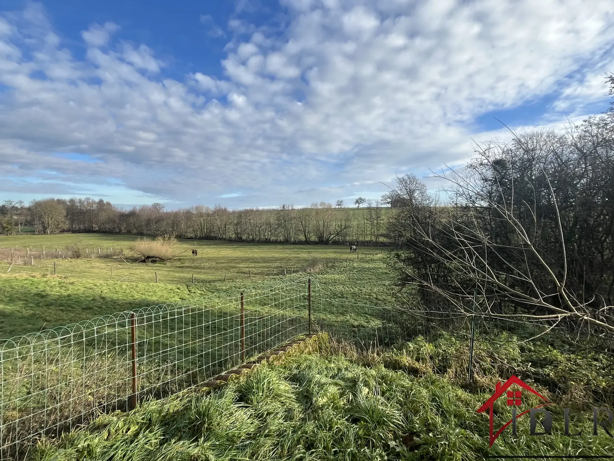 À vendre : Deux gîtes rénovés à Colombey Les Choiseul, charme et confort 