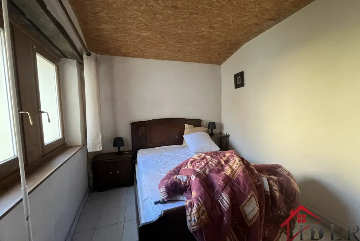 À vendre : Deux gîtes rénovés à Colombey Les Choiseul, charme et confort 