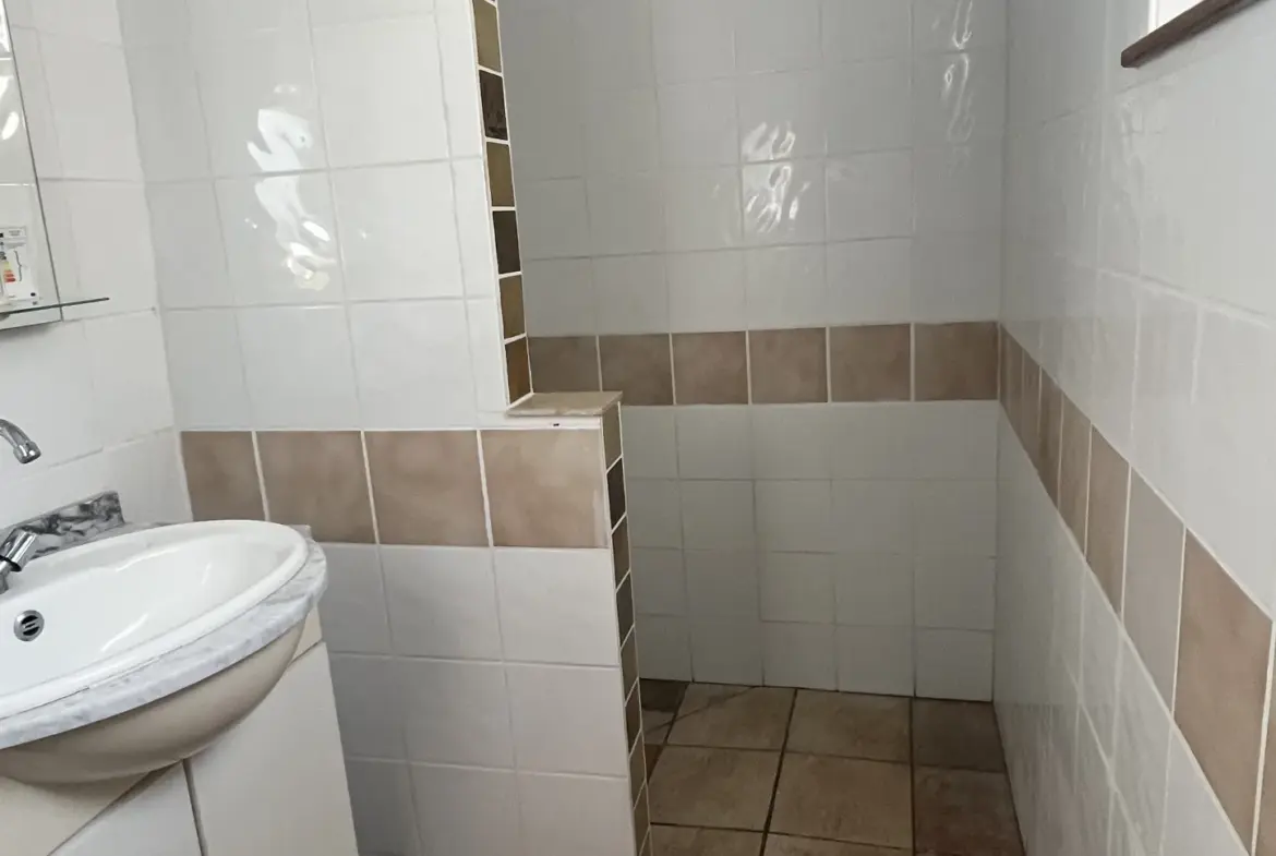 À vendre : Deux gîtes rénovés à Colombey Les Choiseul, charme et confort 