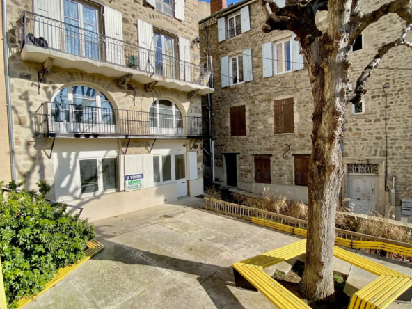 Appartement à rénover en rez-de-chaussée lumineux avec cave à Annonay 
