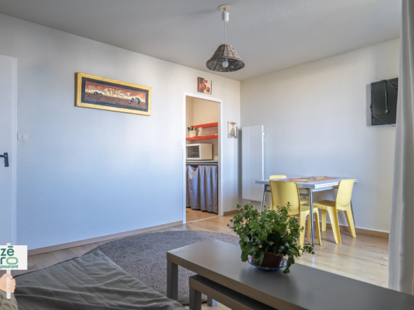 Appartement T2 meublé près de la plage des Mouettes à St Hilaire de Riez 