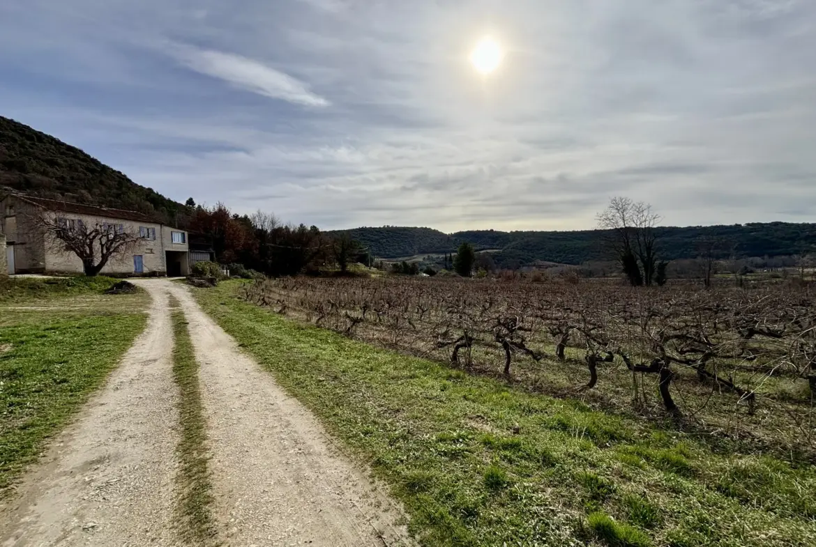 Maison en campagne avec nombreuses dépendances à Mollans-sur-Ouvèze 