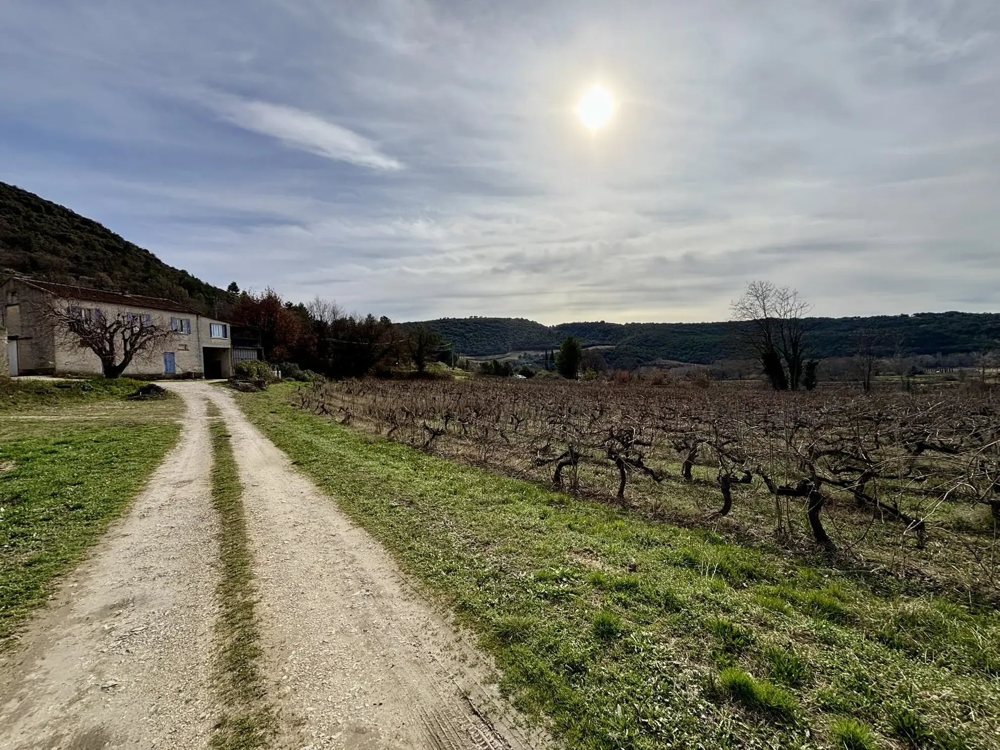 Maison en campagne avec nombreuses dépendances à Mollans-sur-Ouvèze 