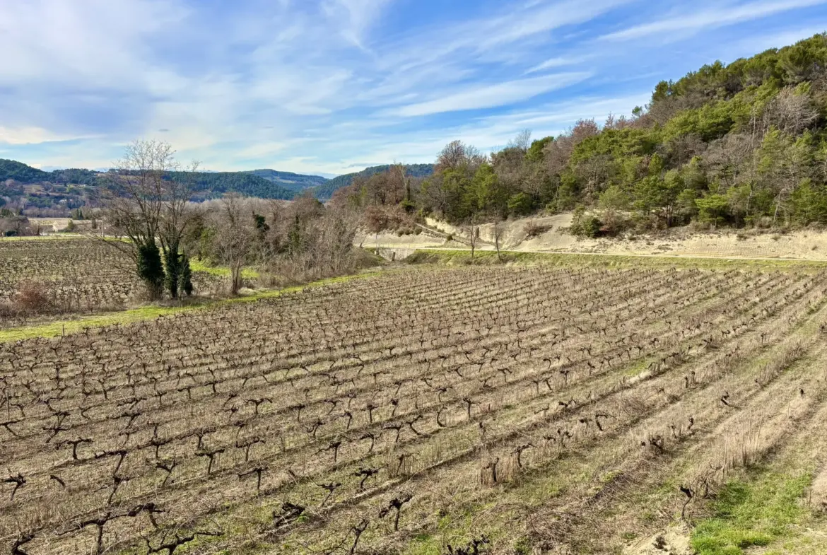 Maison en campagne avec nombreuses dépendances à Mollans-sur-Ouvèze 