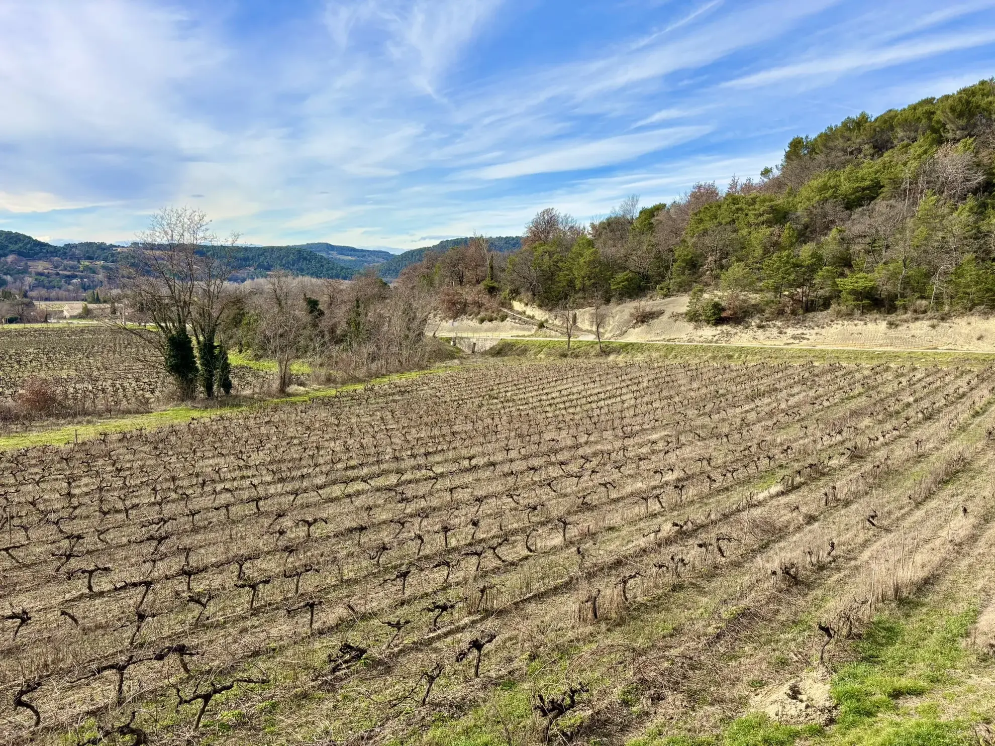 Maison en campagne avec nombreuses dépendances à Mollans-sur-Ouvèze 