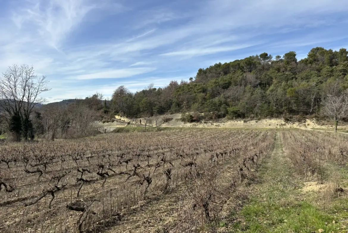 Maison en campagne avec nombreuses dépendances à Mollans-sur-Ouvèze 