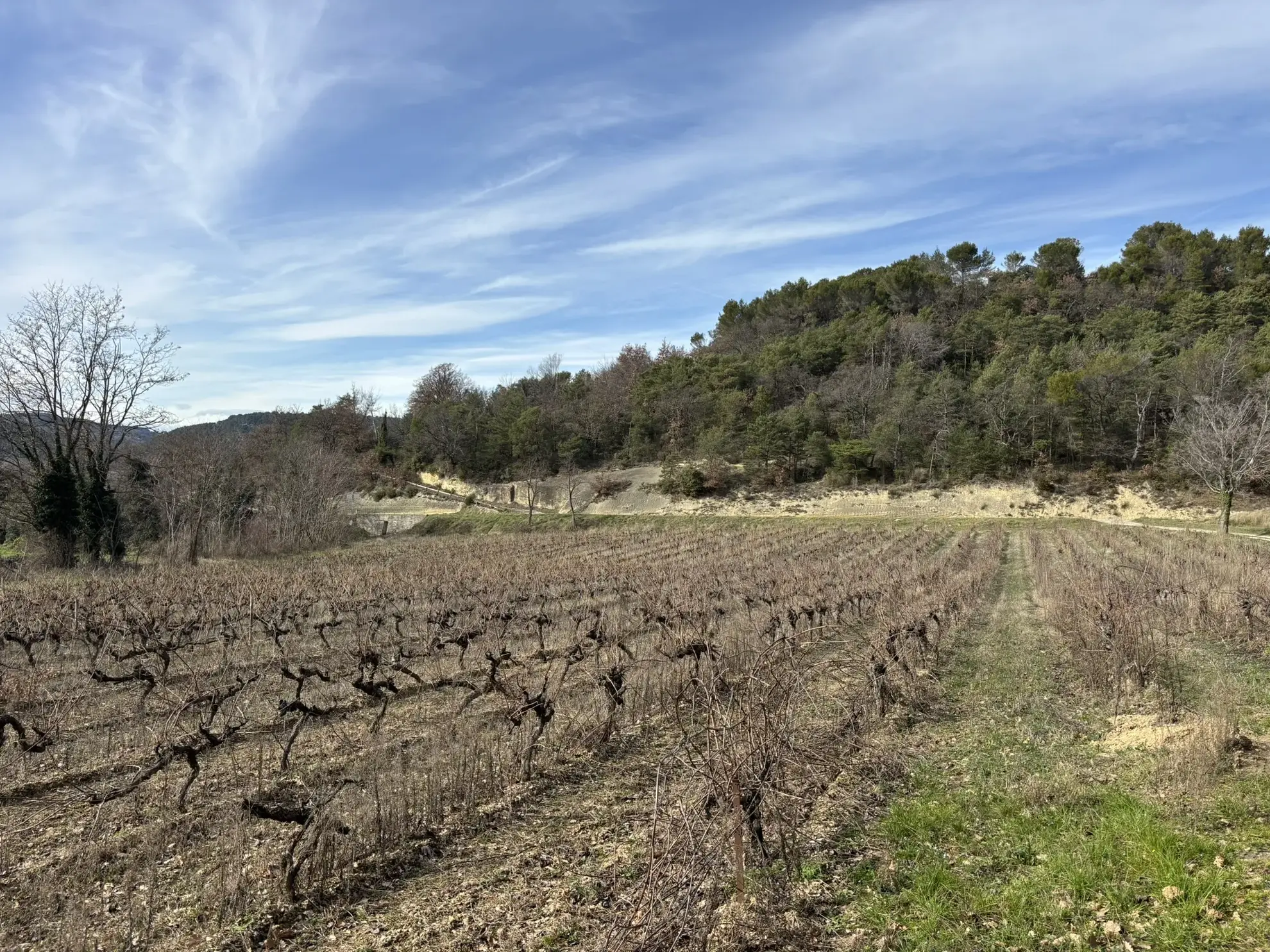 Maison en campagne avec nombreuses dépendances à Mollans-sur-Ouvèze 
