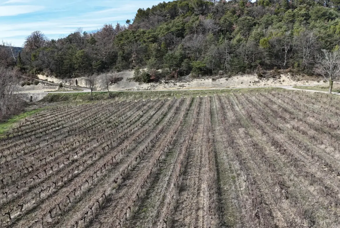 Maison en campagne avec nombreuses dépendances à Mollans-sur-Ouvèze 