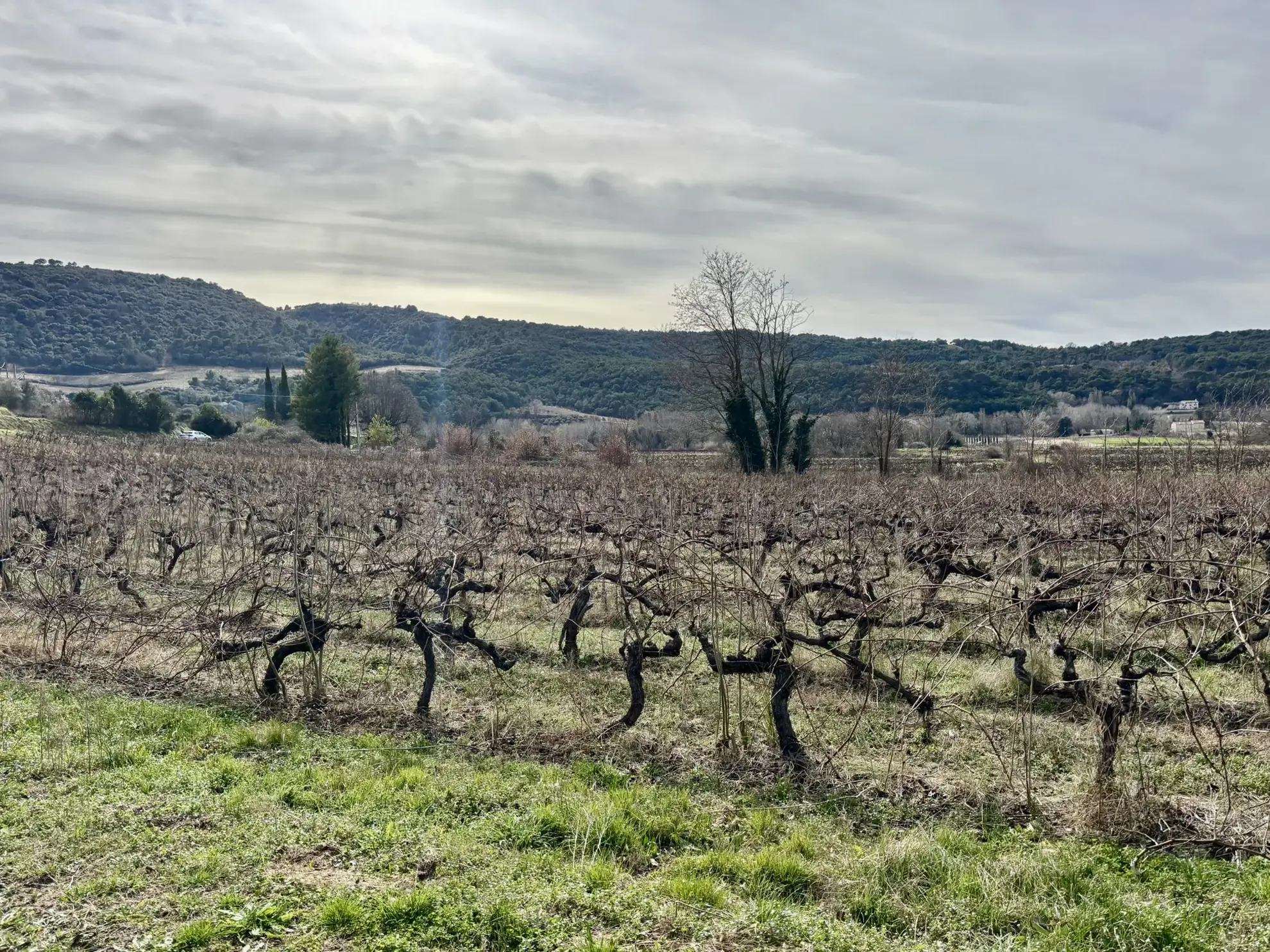 Maison en campagne avec nombreuses dépendances à Mollans-sur-Ouvèze 