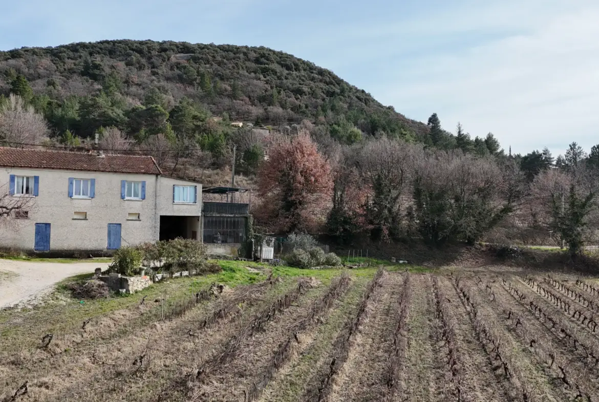 Maison en campagne avec nombreuses dépendances à Mollans-sur-Ouvèze 