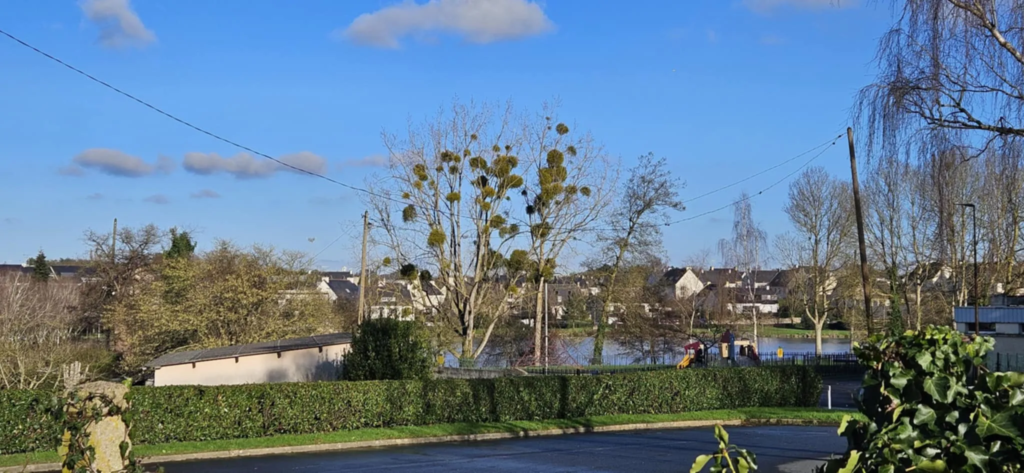 Maison familiale à vendre à Lamballe-Armor - 153 m², 8 pièces, vue sur le plan d'eau