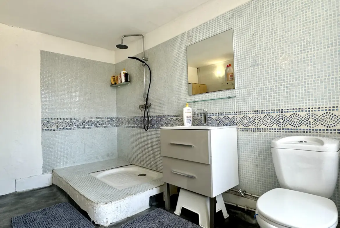 Maison de Ville à Vendre à Nanteuil-lès-Meaux - 187 m² avec Jardin 