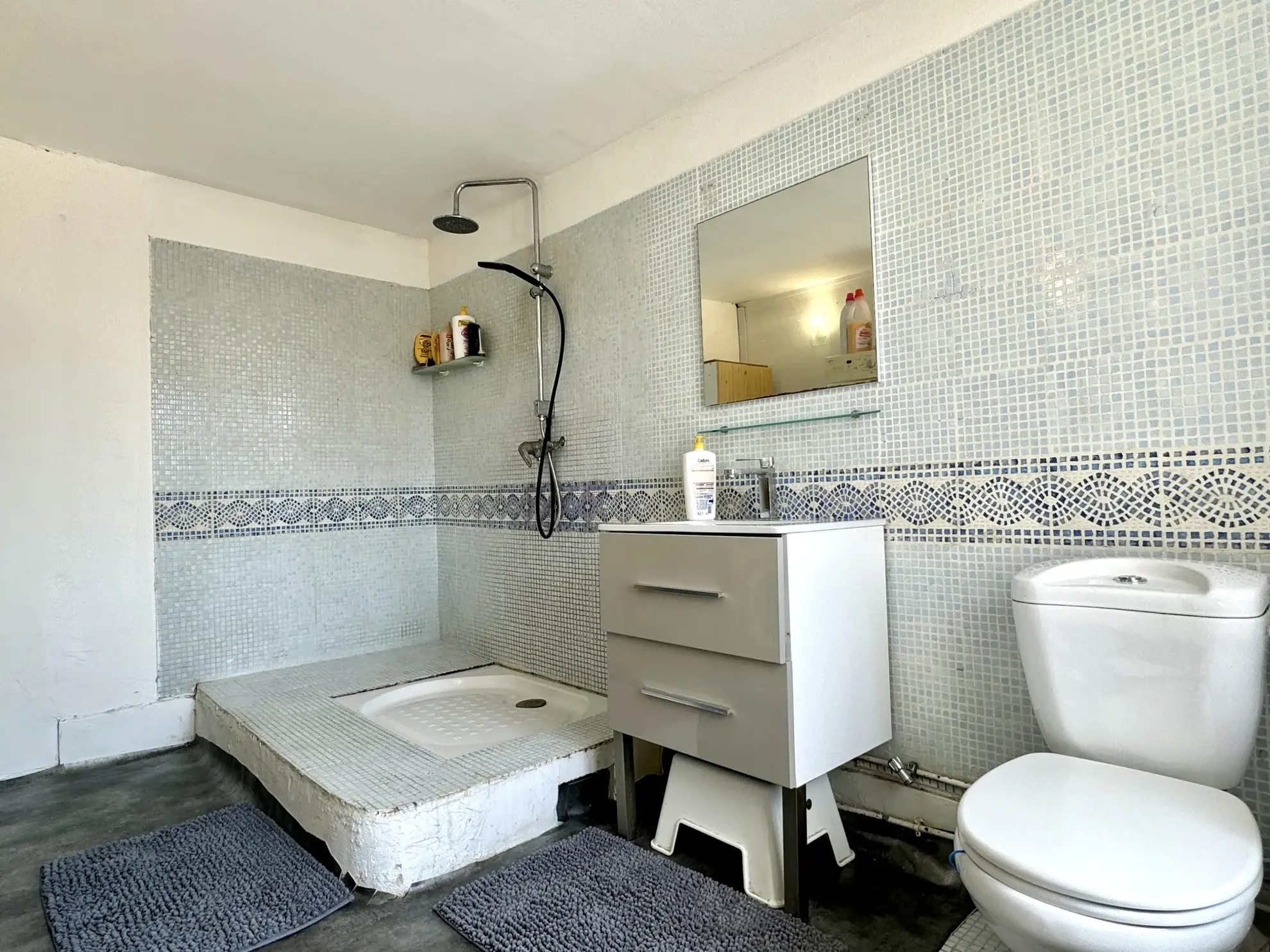Maison de Ville à Vendre à Nanteuil-lès-Meaux - 187 m² avec Jardin 