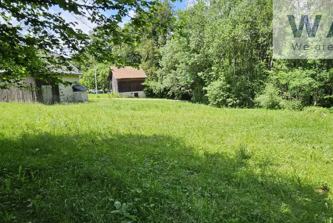 Terrain constructible avec grange à restaurer - Thorens Glieres 