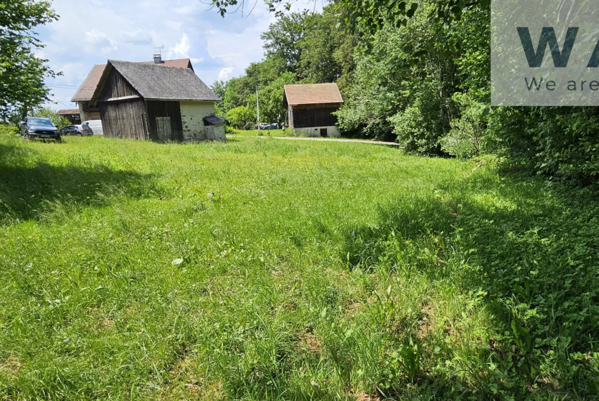 Terrain constructible avec grange à restaurer - Thorens Glieres 